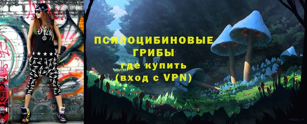 соль ск Алзамай