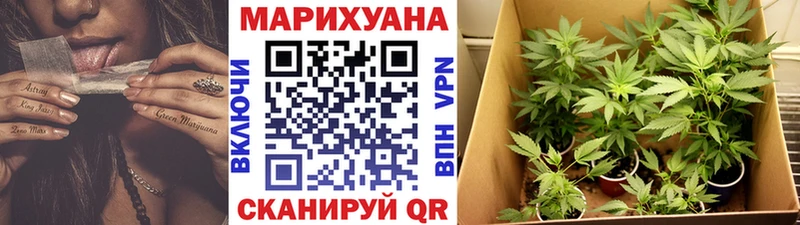 Каннабис план  Белый 